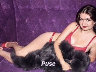 Puse
