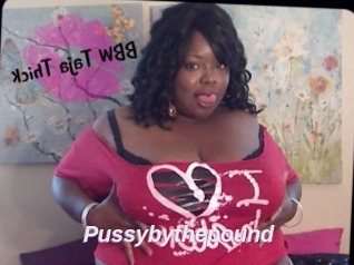 Pussybythepound