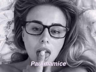 Paulinamice