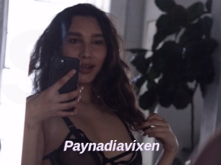 Paynadiavixen