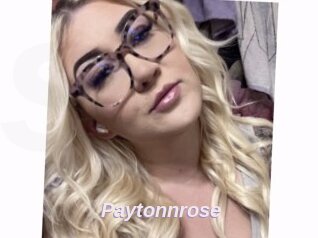 Paytonnrose