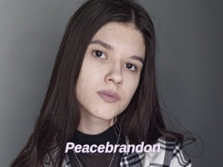 Peacebrandon