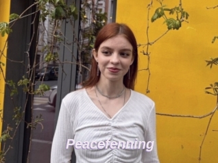 Peacefenning