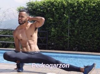 Pedrogarzon
