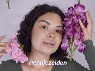 Penniezeiden