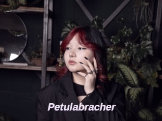 Petulabracher