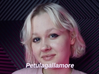 Petulagallamore