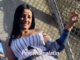 Peytonumalatin