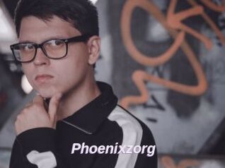 Phoenixzorg