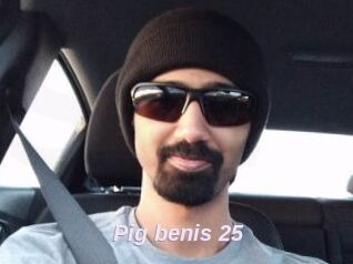 Pig_benis_25