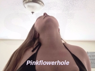 Pinkflowerhole