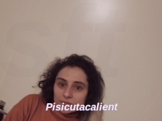Pisicutacalient