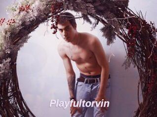 Playfultorvin