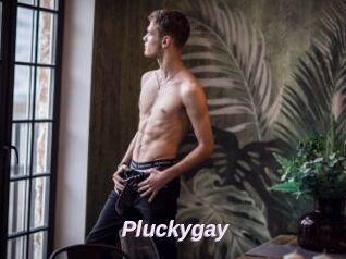 Pluckygay