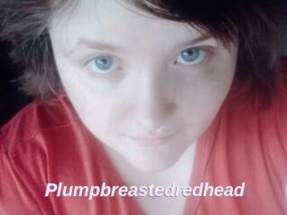 Plumpbreastedredhead