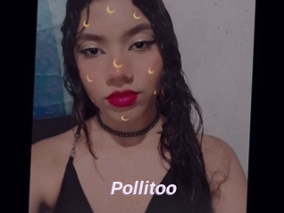 Pollitoo