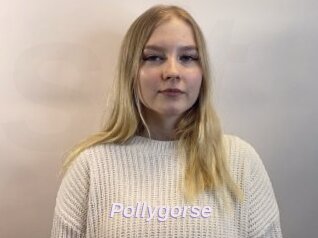 Pollygorse