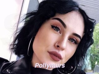 Pollymurs