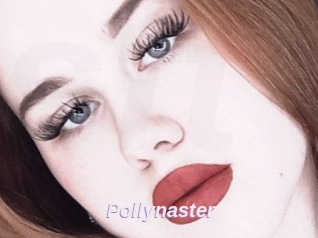 Pollynaster