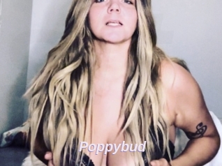 Poppybud