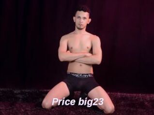 Price_big23