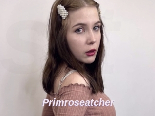 Primroseatcher