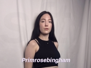 Primrosebingham