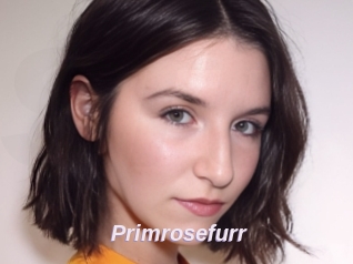 Primrosefurr