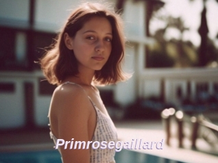 Primrosegaillard
