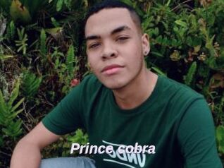 Prince_cobra