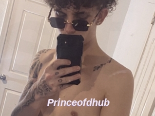 Princeofdhub