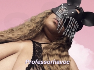 Professorhavoc