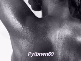 Pytbrwn69