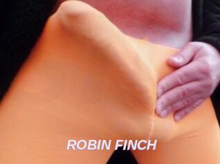 ROBIN_FINCH