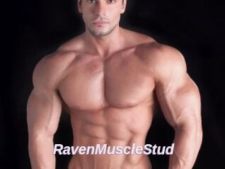 RavenMuscleStud