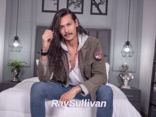 RaySullivan