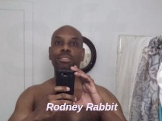 Rodney_Rabbit