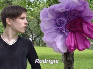 Rodrigie