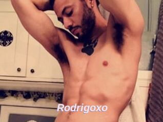 Rodrigoxo