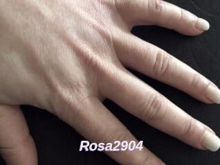 Rosa2904