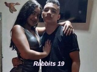 Rabbits_19
