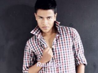 Raulnice