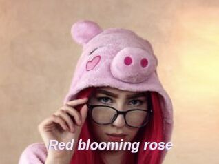 Red_blooming_rose