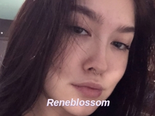 Reneblossom