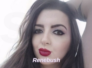 Renebush