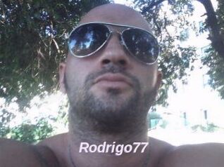 Rodrigo77