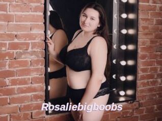 Rosaliebigboobs
