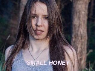 SMALL_HONEY