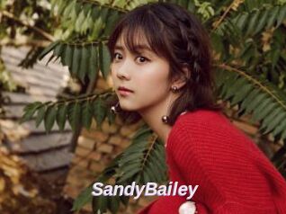 SandyBailey