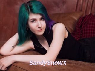 SandySnowX